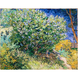 Lienzo Canvas Vincent Van Gogh Lilas Jardín Hospital 90x115