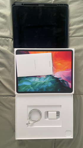 iPad Pro (12.9 Inch) (4th Generacion) + Apple Pen 2th Gen