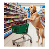 Vinilo 100x100cm Perro En Supermercado Comprando Cerveza M1