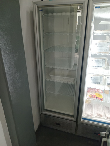 Freezer Vertical Exhibidor 