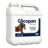 Glicopan Energy 5 Litros Suplemento P/ Cavalos - Vetnil