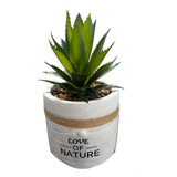Plantas Artificiales Decorativas Macetero Aloe Vera 18cm