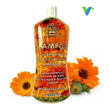 Shampoo Caléndula Y Aloe Vera - mL a $34