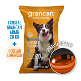 Croquetas Grancan Perro Adulto 20kg Incluye Collar Luminoso