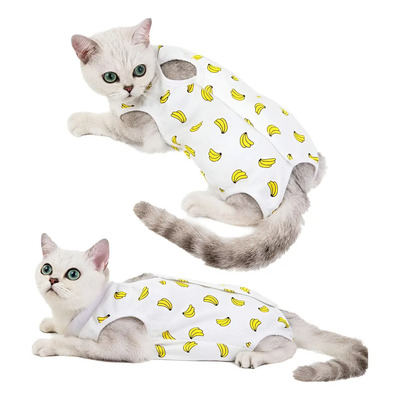 Dp Algodón Faja For Perros Gatos Esterilizada Y &aq &vd