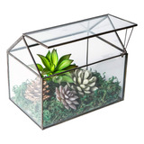 Forma De La Casa Cerrar Terrario Geometrico De Vidrio De Mes