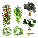 6 Piezas De Decoracin De Plantas De Reptiles, Accesorios Par