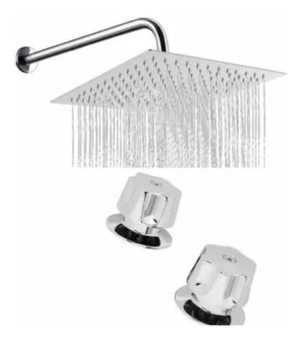 Regadera 20x20 Acero Inox Con Brazo De 50cm+kit De Manerales