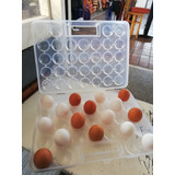 Porta Huevos Transparente 