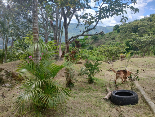Venta De Finca En Copacabana - Imagen 3