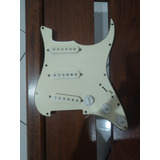Escudo Guitarra Stratocaster  Fotos Reais