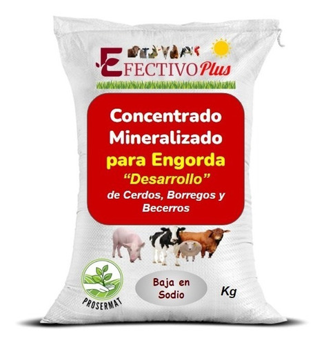 Amino Engorda 1% Micro Concentrado De Minerales Efectivo 20k