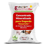 Amino Engorda 1% Micro Concentrado De Minerales Efectivo 20k