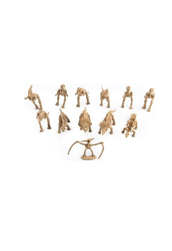 12 Figuras De Juguete Fosil Dinosaurios Blakhelmet E