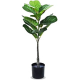  Ficus Artificial Planta Alta Interiores Con Maceta 74 Cm 