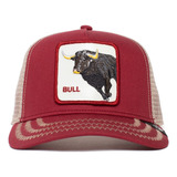 Gorra Goorin Bros Bull Honky Toro Nueva Colección