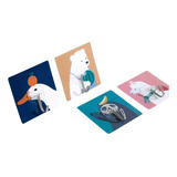 Pack 10u Gancho Para Pared Metálico Adhesivo Animales