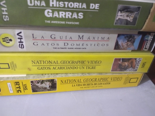 4 Vhs Gatos Animal Planet National Discovery Documental 