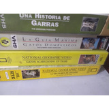 4 Vhs Gatos Animal Planet National Discovery Documental 