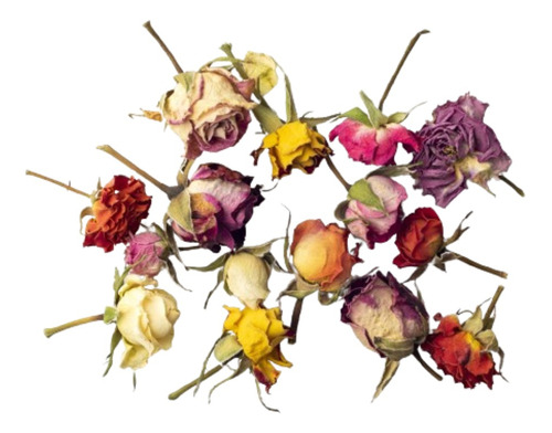 Flores Comestibles Mix De Rosas Orgánica Repostería Deco
