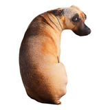 Almohada Creativa Para Perros, Sabueso 50cm Multicolor