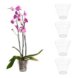 4 Maceta Orquidea Transparente Hecho En España 1.1l 14cm Ø