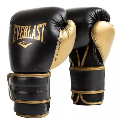 Guantes Boxeo Everlast Powerlock R2 Trainning Estuche Cuot