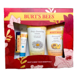 Bálsamo Labial Chapstick  Burt's Bees Face Essentials 4 Piez