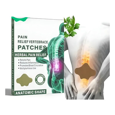 Parches Genérico Para Dolor Muscular Espalda B 20 Parches | Meses sin interés