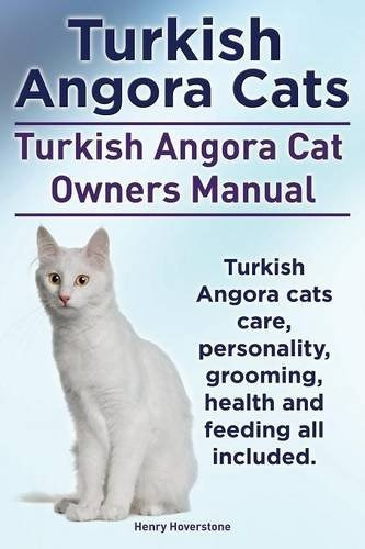 Angora Turca Propietarios De Gatos Manual Angora Turca Cuida