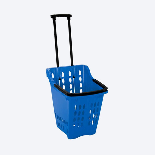 Cesta Transportadora Azul