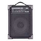 Caixa De Som Amplificada Microfone/guitarra Lx40