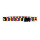 Collar Para Perro Rainbow Chevron, Mediano-3/4 .