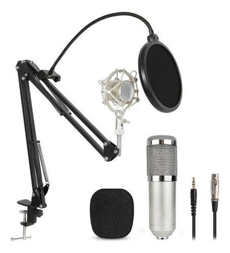 Kit De Microfono Fiddler Fd Bm800 Studio Pro Con Brazo