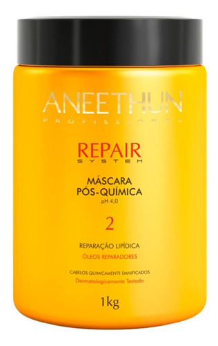 Máscara Repair Profissional Aneethun 1kg Pós Química