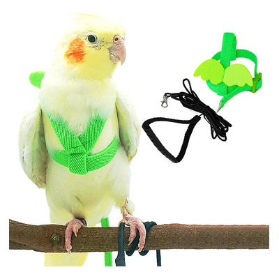 Arnés Correa Para Ave Periquito Cotorro Loro Ninfa Cacatúa | MercadoLibre