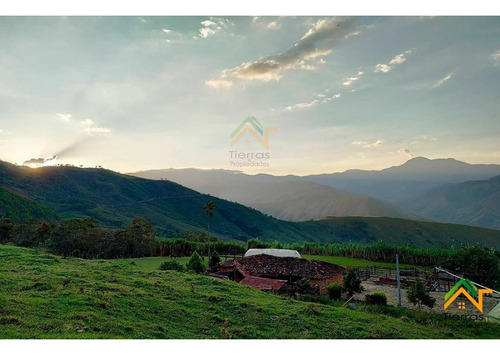 Vendo Finca De Gran Extension En Betulia