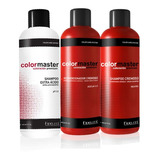 Shampoo Acond Acida Fidelite Colormaster 1k Kit Combo Peluqu