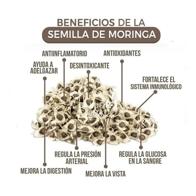 Moringa Semilla 500 Gramos Organica | Meses sin interés