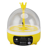 Mini Incubadora De Huevos Casera Para Temperatura Y Humedad