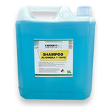 Shampoo Alfombra Y Tapiz 5 Litros