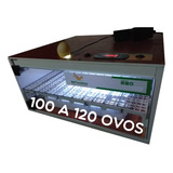 Chocadeira Automática De 100 Ovos A Melhor Do Mercado Livre.