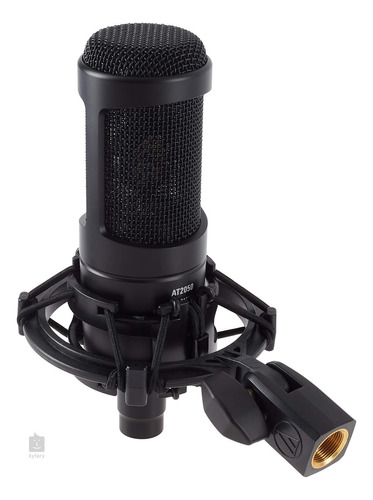 Micrófono Condensador Profesional Audiopro Ap02039 Color Negro