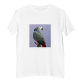 Remera Hombre Aves 1 Loro Parlanchin De Colores