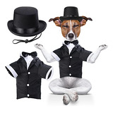 Accesorios Formales Para Mascotas - Sombrero Y Traje De