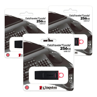 Kit 3 Memoria Usb 256gb Kingston Datatraveler Exodia 3.1 Color Negro Liso | Envío gratis