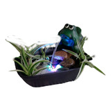 Fuente De Agua Con Luz Led Ranas 6 Modelos Base Rectangular