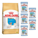 Kit Bulldog Frances Puppy 2,5kg E 5 Sachês Mini Royal Canin