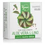 Shampoo Sólido Aloe Vera Y Lino Detox Vgreen 60g | MercadoLibre