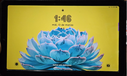 Samsung Galaxy Tab S6 Lite 128gb Con 2 Fundas De Regalo 